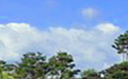 ���������簲˵˵��ͨ��50�䣩