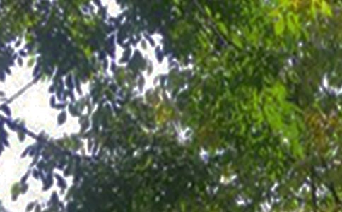 �����簲˵˵���ܣ���ѡ70�䣩