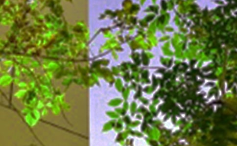 ����Ψ���簲˵˵90�侫ѡ