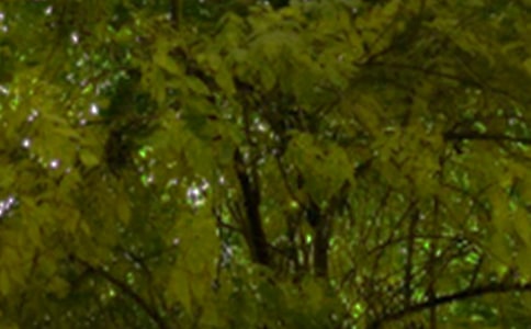 ��������簲���ӣ�ͨ��40�䣩