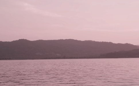 ����ѡ����������300��6ƪ