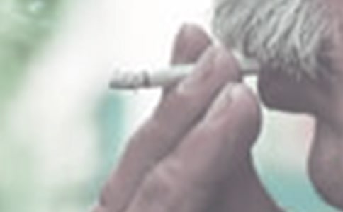 ���̵�������(15ƪ)