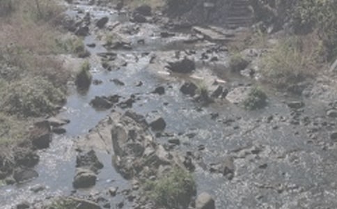 《小溪流的歌》读后感