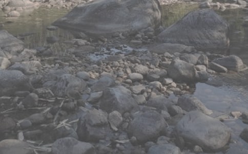 《小溪流》读后感