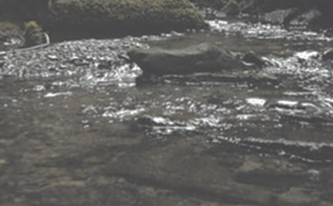 СϪ���ĸ�����