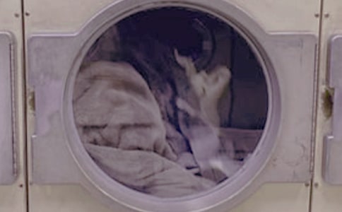 洗衣的作文300字