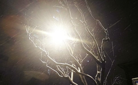 下雪个性语录句子60句