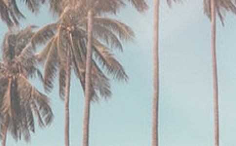 夏季上班时间调整通知