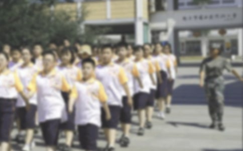 实用的夏令营活动方案模板锦集八篇