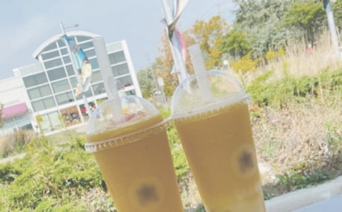 �������׵�ʫ��