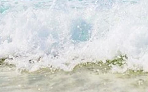 关于夏天的句子