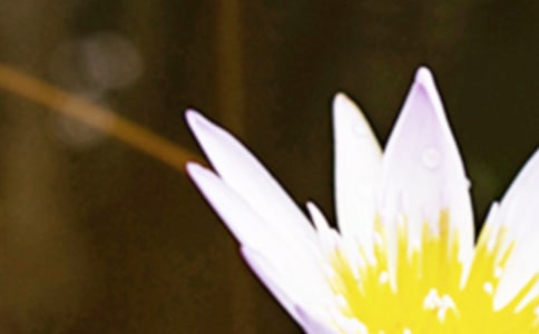 ����ʫ��