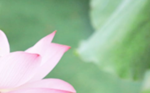 夏至对应的诗句