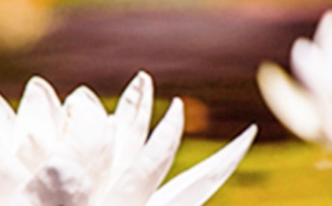 ��д������ʫ���ȫ