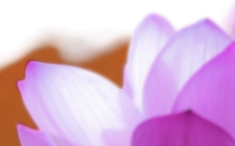 ������ף����15ƪ