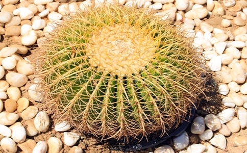 ���������Ƶľ���,������д���������Ƶľ��Ӵ�ȫ