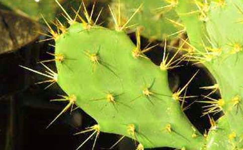 ���������Ƶ�˵˵