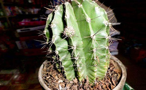 �������˸еľ���