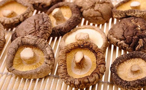 实用的香菇作文300字四篇