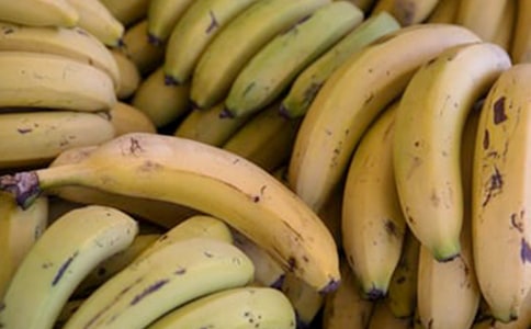 �㽶�ĵ���