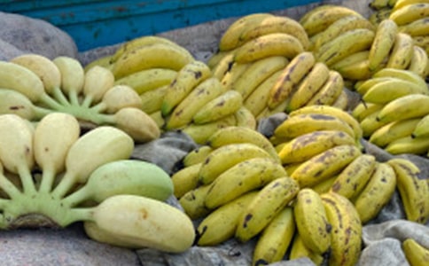 �㽶������300�֣�����3ƪ��