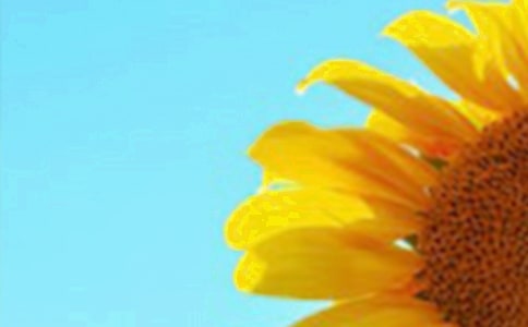 ���տ���˵˵15ƪ