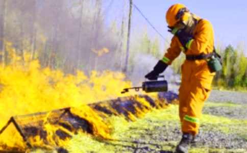 2022��С���������ķ������ģ���ѡ6ƪ��