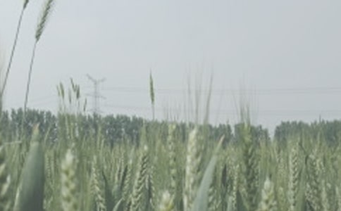 [��]�������ϵ���С�󡷶����