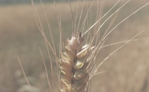 С�������300��