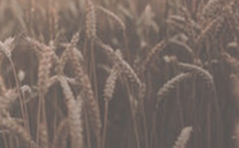 ��ۺ�С��۵�����