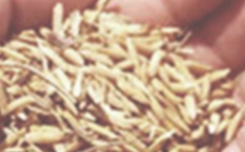 �������ϵ���С�󡷶����