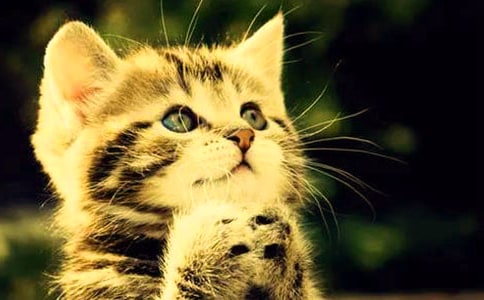 Сè���������9ƪ