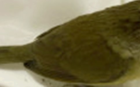 ��дС��ľ���