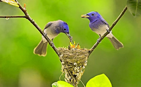 С��,�Բ���С��������1000��