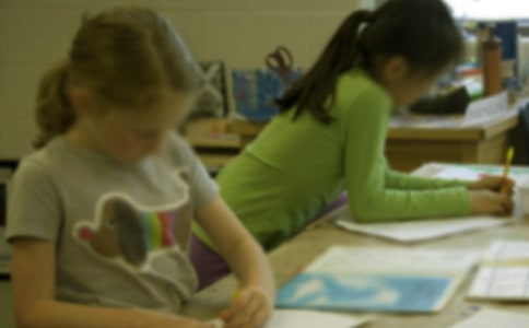 Сѧ�������ֲ�ҳ���������