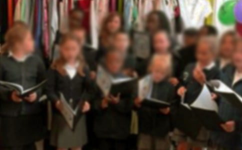 【精华】小学生的作文300字7篇