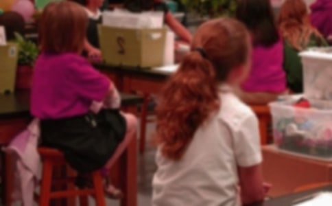 小学生作文300字汇编5篇