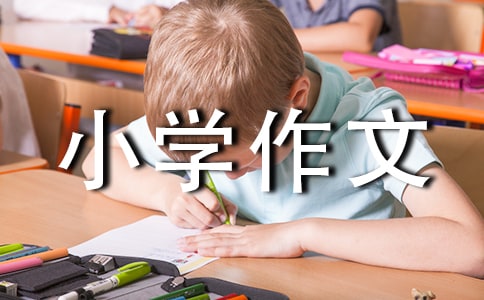 小学作文300字(合集)