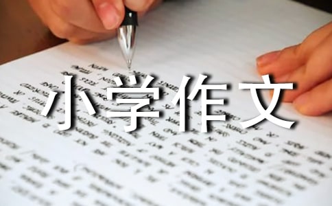 小学作文300字(通用3篇)