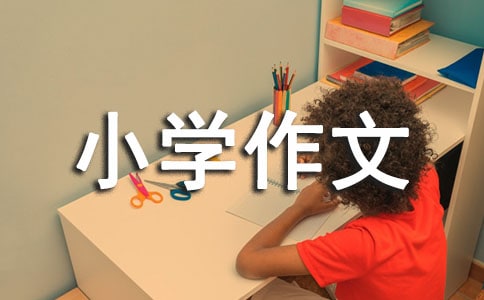 【精华】我的小学作文400字四篇