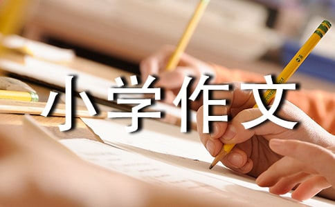 说说我自己小学作文15篇