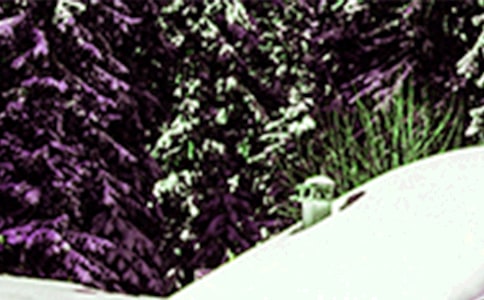 Сѩ�����ļ�̾���15ƪ