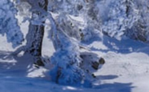 关于描写小雪节气的诗句