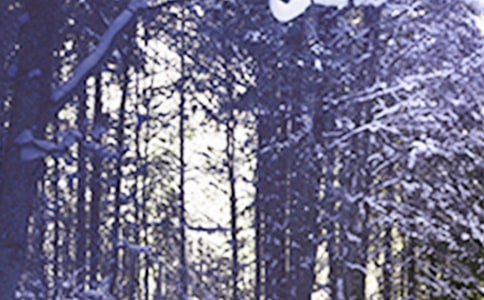 关于小雪节气的诗词句子大全