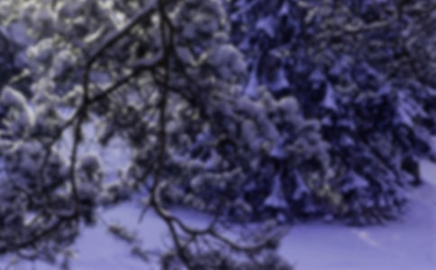 Сѩ����ף�����Ŵ�ȫ