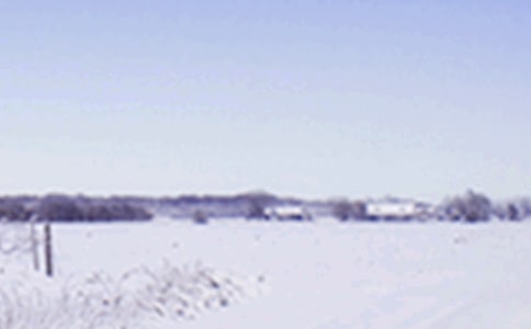 小雪节气祝福语大全