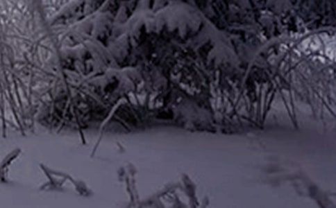 小雪节气温暖句子