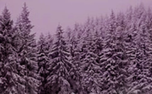 节气小雪的朋友圈说说(通用95句)