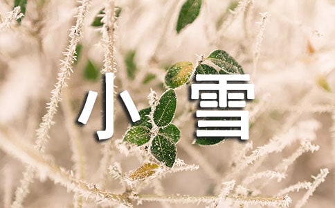 小雪节气的简短句子(15篇)