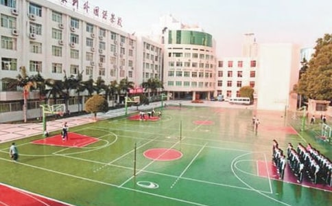 小学绿色校园手抄报内容